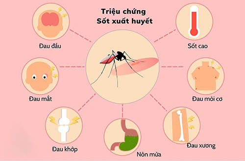 Chỉ số véc tơ truyền bệnh sốt xuất huyết vượt ngưỡng cảnh báo